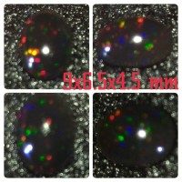 Black Opal(bo) Aspal Banten Full Jarong HQ (kb-28)