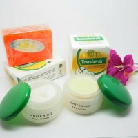 paket perawatan wajah cream temulawak widya ori (sabun day night crem)