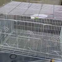 kandang ternak love bird