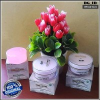 Cream Pemutih Wajah BPOM Night & Day Cream Temulawak WD Paket Standar