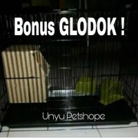 kandang ternak love bird Sugar glider SG burung tupai plus glodok