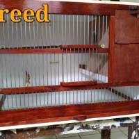 Kandang ternak Love bird model knock down/ bongkar pasang