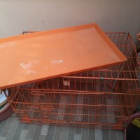 Kandang Kucing Bekas-oranye