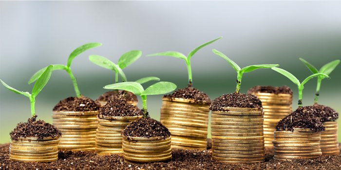 Cara Mengelola THR yang Benar Agar Tak Ludes Seketika investasi dari thr lebaran