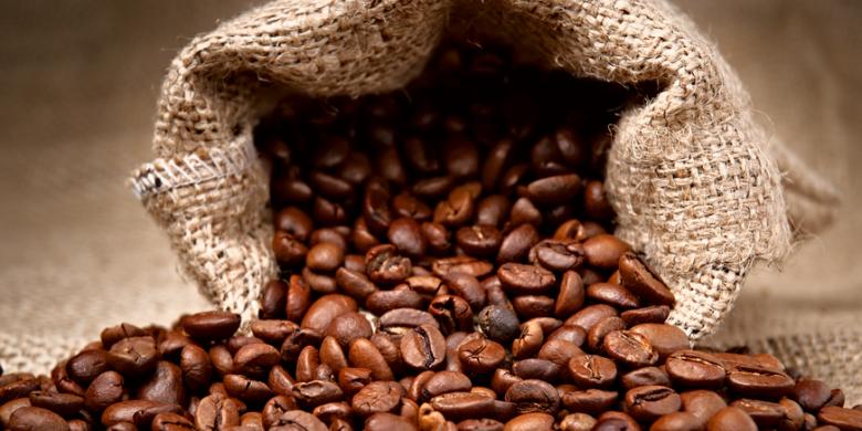 kopi-gayo
