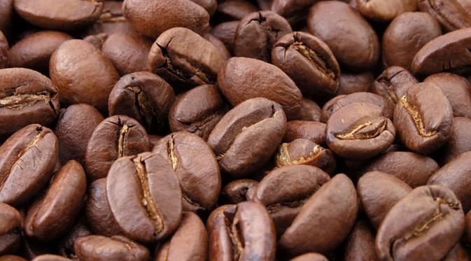 kopi-sidikalang