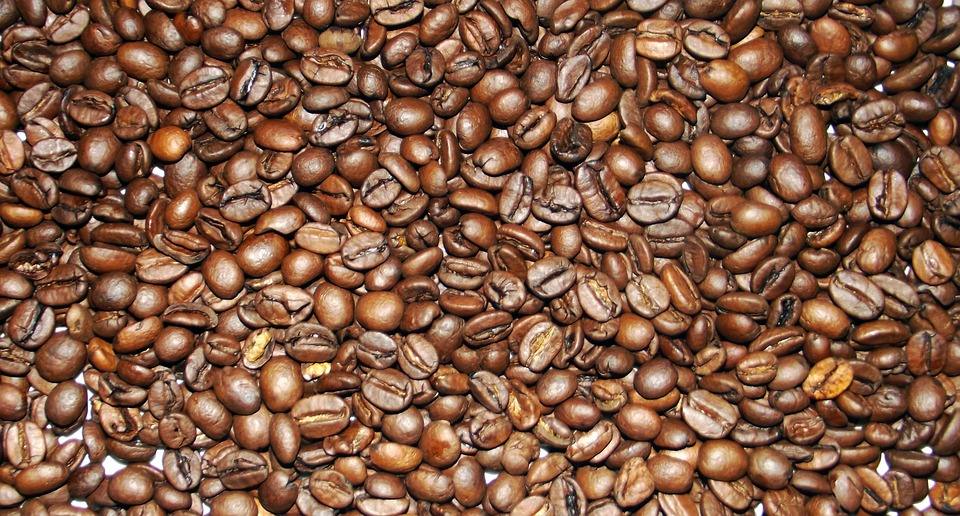 kopi-toraja