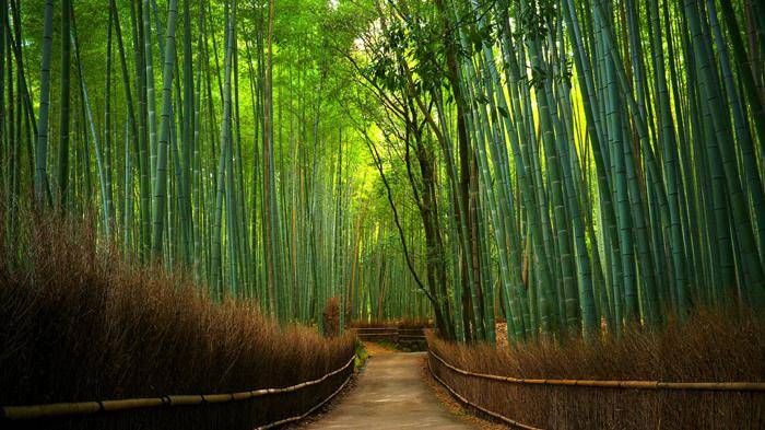 lokasi hunting foto kekinian