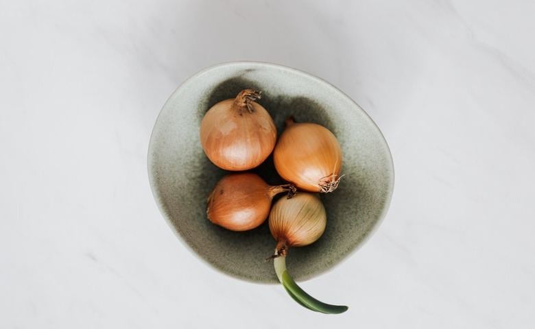 Bawang-Bawangan Jenis makanan yang berbahaya bagi kucing