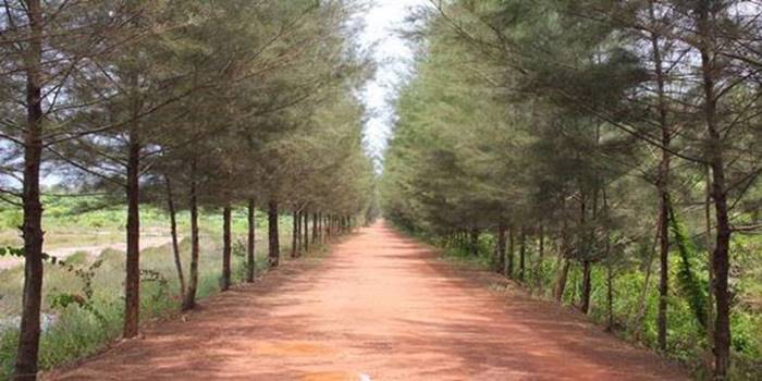 wisata bangka - botanical garden