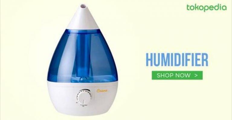 apa itu air purifier dan humidifier