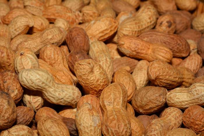  tentunya kita akan menghabiskan banyak waktu di jalan Aneka Snack Terbaik untuk Mudik Seru