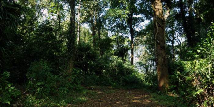 Sukabumi merupakan salah saru kota di Jawa Barat yang kerap menjadi tujuan wisata 20 Destinasi Wisata di Kota Sukabumi Terbaru