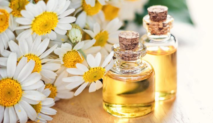  pasti menginginkan memiliki kulit wajah bersih yang sehat untuk tampil percaya diri 7 Bahan Natural Skincare Terbaik untuk Kulit Cantik dan Bersinar