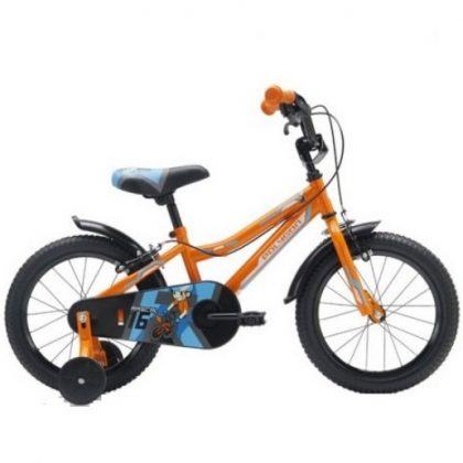 12 Merk Sepeda Anak Terbaik 2021 Si Kecil Aktif di Luar Ruang