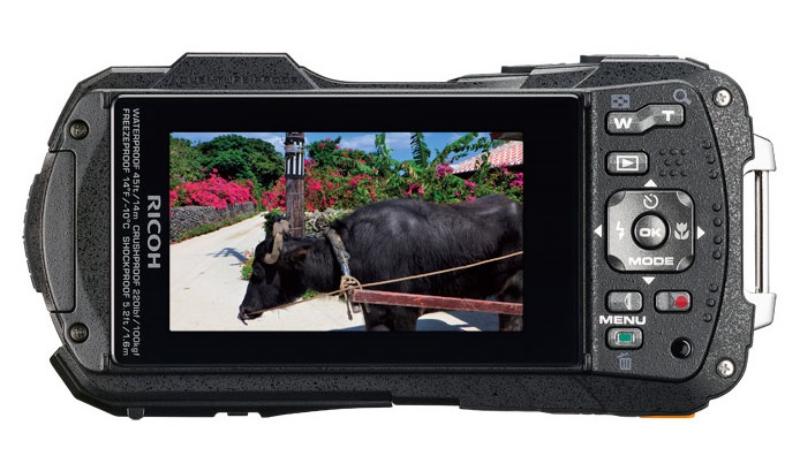 review ricoh wg 50, review ricoh underwater camera, kelebihan ricoh wg 50, kekurangan ricoh wg 50