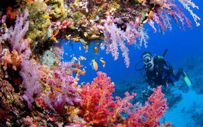 di Asia Tenggara terdapat negara kepulauan lainnya yang juga menyimpan pesona wisata yang 16 Destinasi Wisata di Filipina Terbaik!