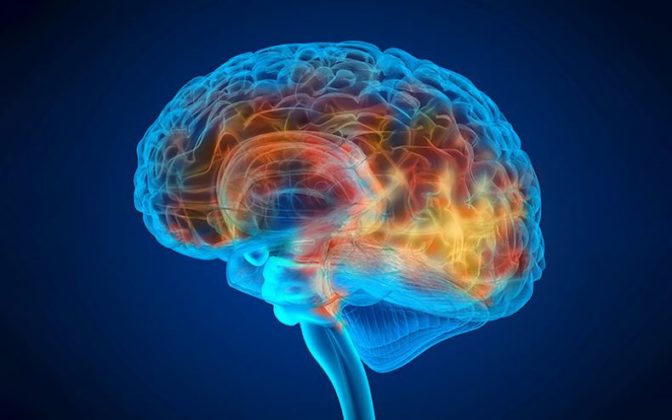 15 Manfaat dan Khasiat Bawang Putih Tunggal Tokopedia Blog