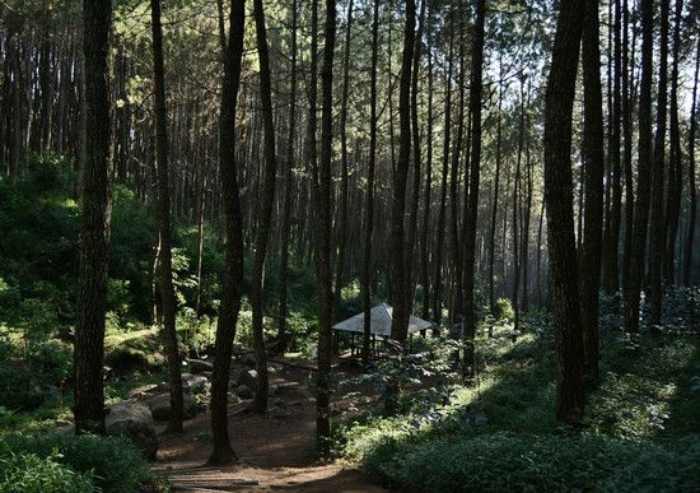 Destinasi Tempat Wisata di Garut