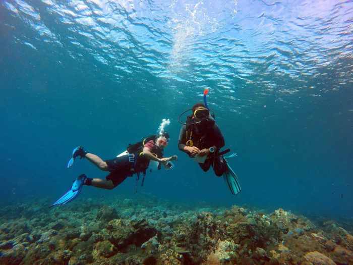 Destinasi lokasi diving terbaik di Indonesia