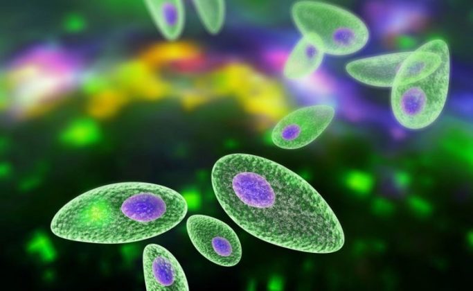 10 Bahaya & Dampak yang Ditimbulkan oleh HIV/AIDS