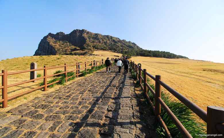 tempat wisata alam di korea selatan Seongsan Sunrise Peak