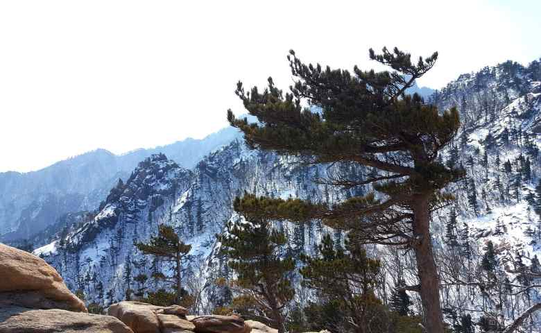 tempat wisata alam di korea selatan Seoraksan National Park