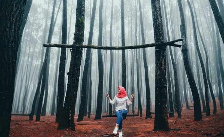 7. Hutan Pinus Imogiri, Yogyakarta