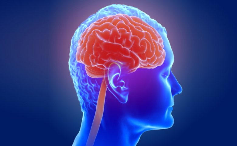 manfaat brokoli meningkatkan pusing otak 