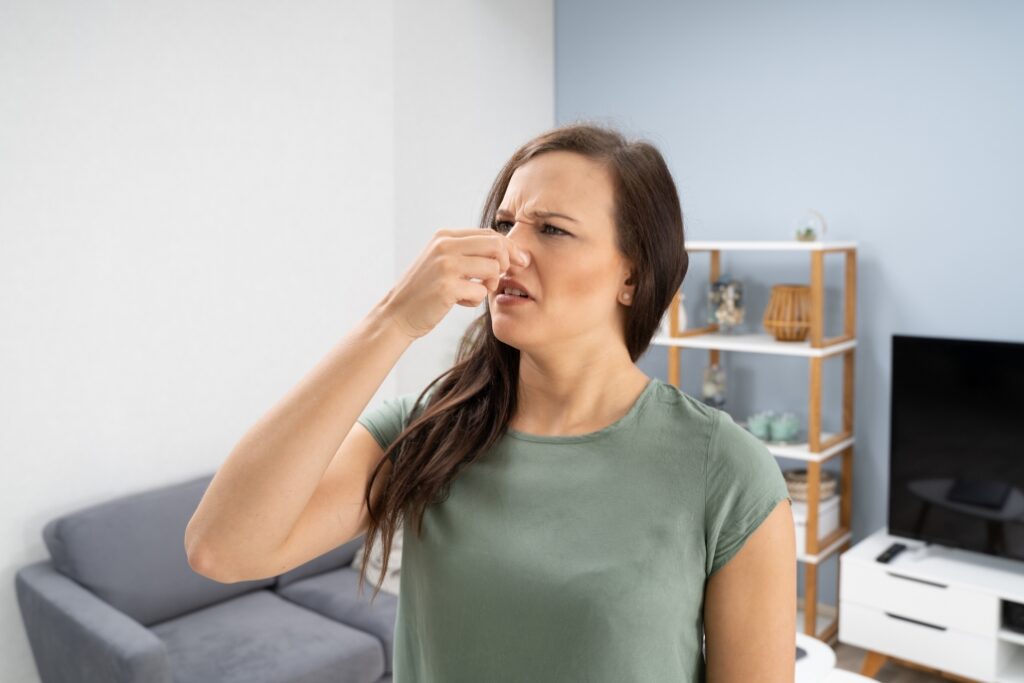 manfaat air purifier