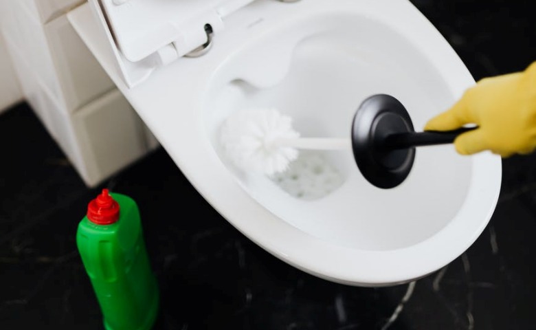 Pembersih toilet