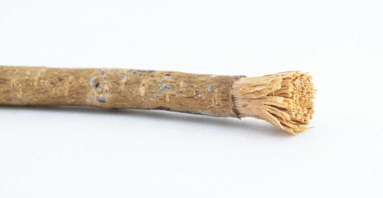 Manfaat Siwak Dan Cara Bersiwak Yang Benar Sesuai Sunnah