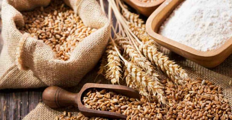 Ketentuan Dan Hukum Zakat Fitrah Yang Harus Diketahui Muslim