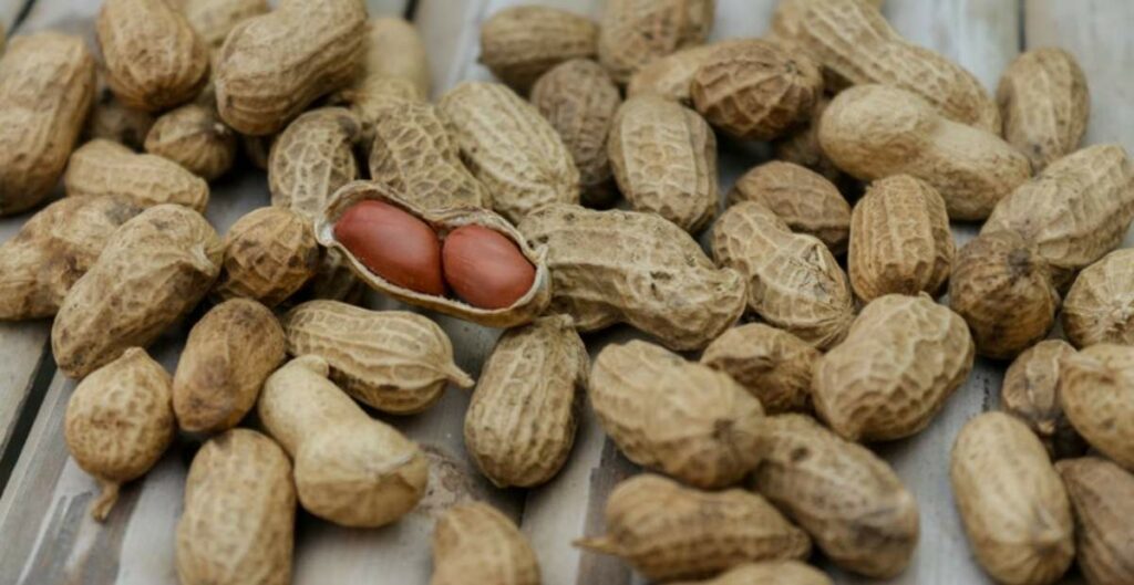 kandungan kacang tanah, kalori kacang tanah