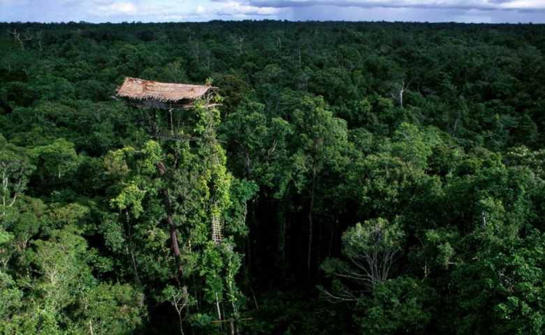 rumah adat papua