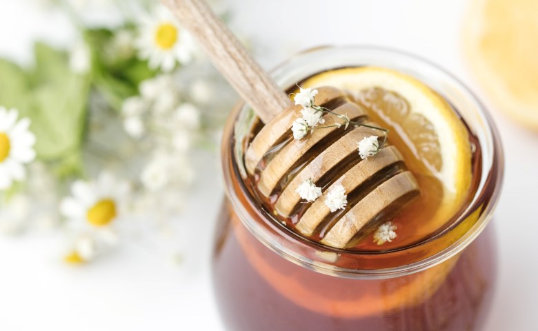 obat masuk angin herbal