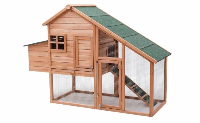 Standar Minimal Ukuran Kandang Kelinci