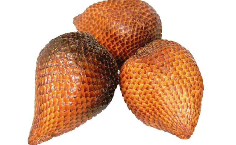 kalori buah salak, kandungan buah salak