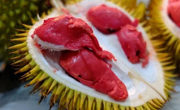 11 Manfaat Buah Lai: Kembaran Durian, Kaya Kebaikan