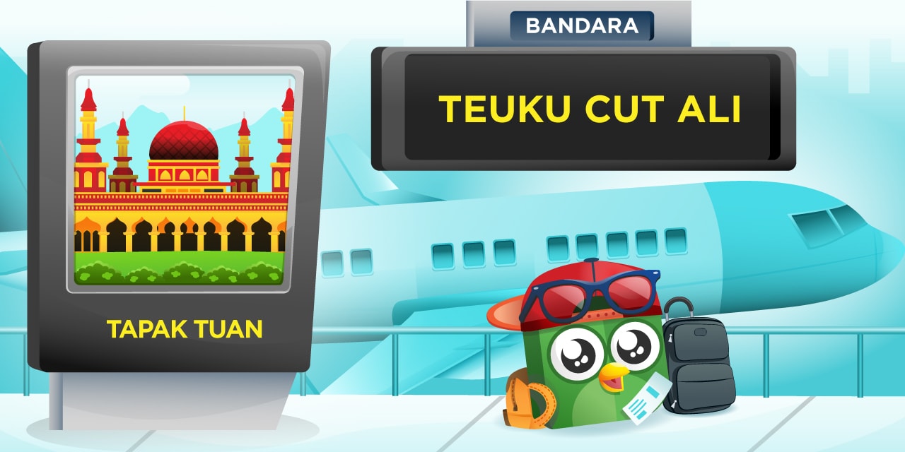 Bandara Teuku Cut Ali
