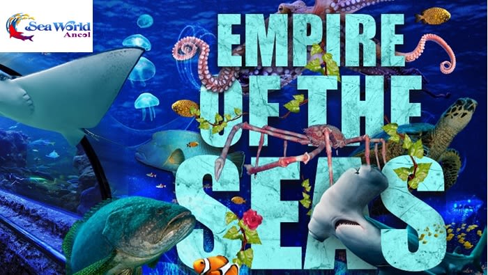 Sea   World Ancol : Beli Tiket Masuk, Promo | Tokopedia