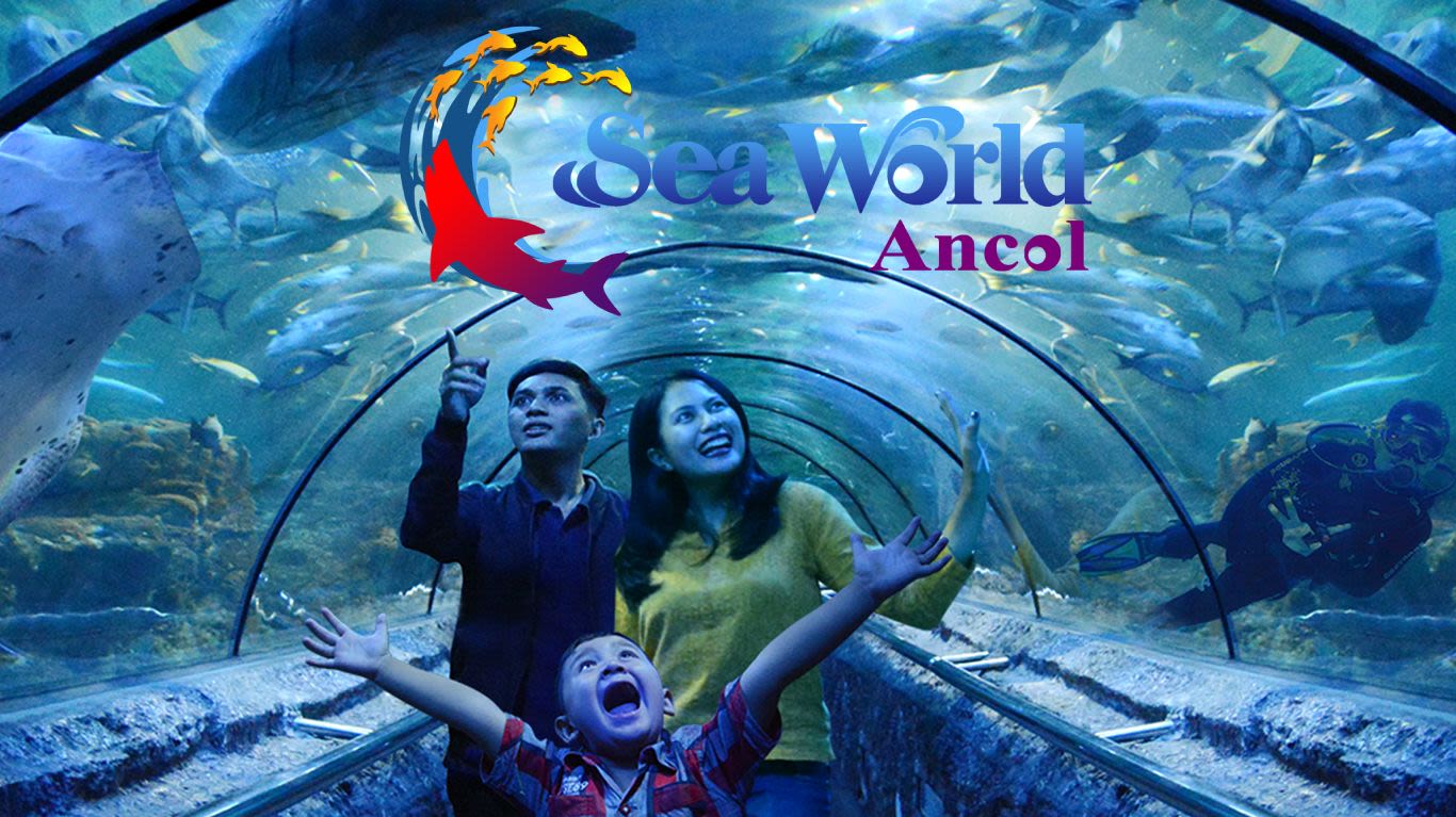 Seaworld Ancol Jual Tiket Hiburan Promo Tokopedia Seaworld Ancol Jual Tiket Hiburan Promo Tokopedia