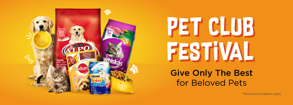 460 Koleksi Semua Gambar Hewan Peliharaan Gratis Terbaru