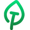 Terampil