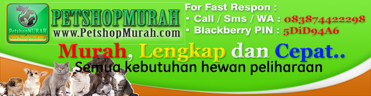 review produk petshop murah review produk petshop murah