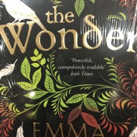 The wonder novel