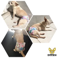Dog Diapers Size XS Pampers Popok Celana Loops Mens Anjing Betina