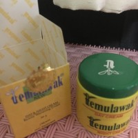 Jual Day & Night Temulawak Cream ORI - Cream Pemutih Wajah ASLI MURAH Murah
