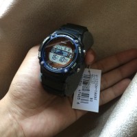 casio ws210