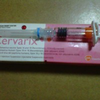 Harga Vaksin Hpv Katalog.or.id Harga Vaksin Hpv Katalog.or.id